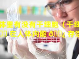 人体里有没有干细胞（干细胞 🐅 在人体内能 🌿 存活多久）